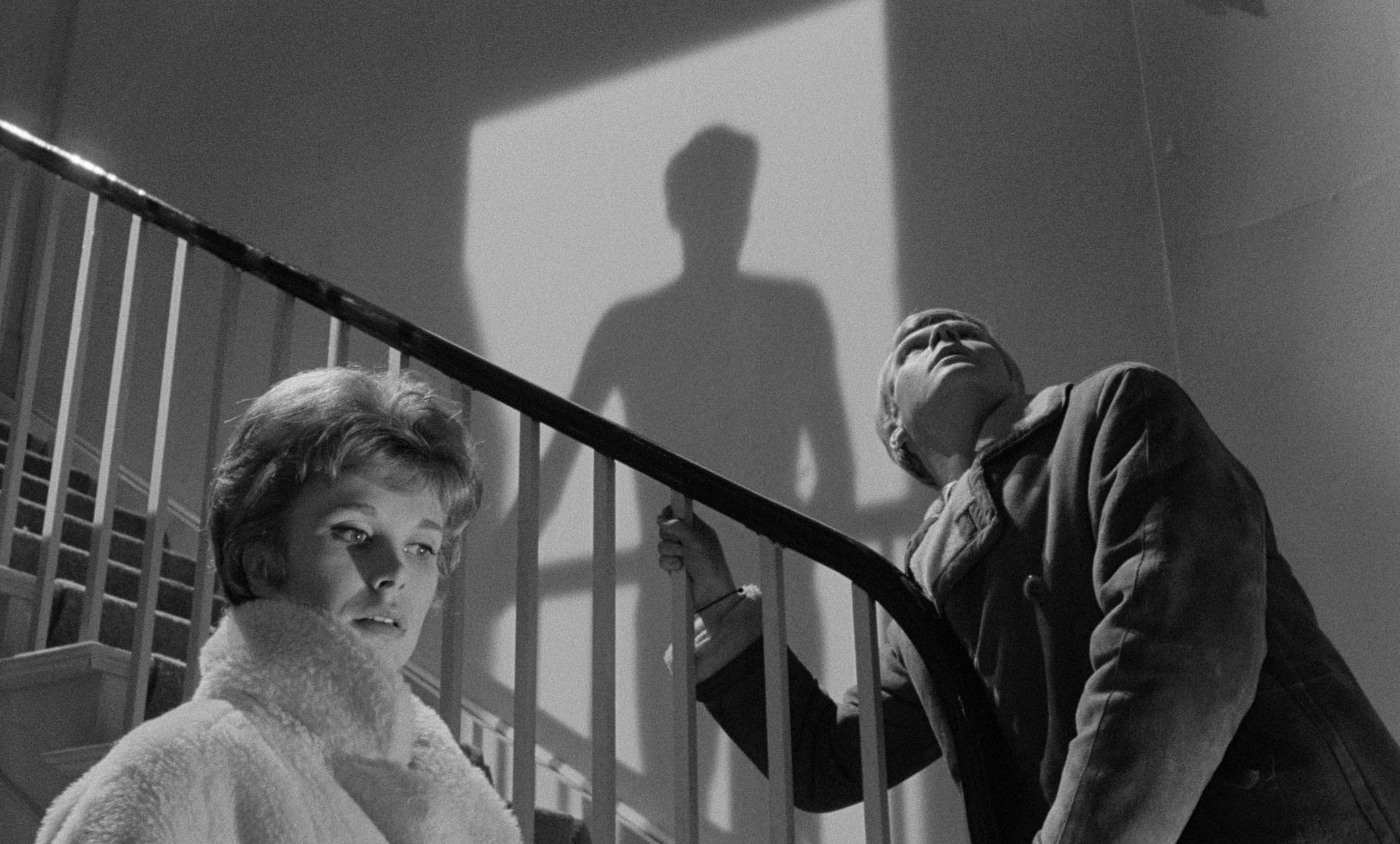 The Servant (1963)  The Criterion Collection