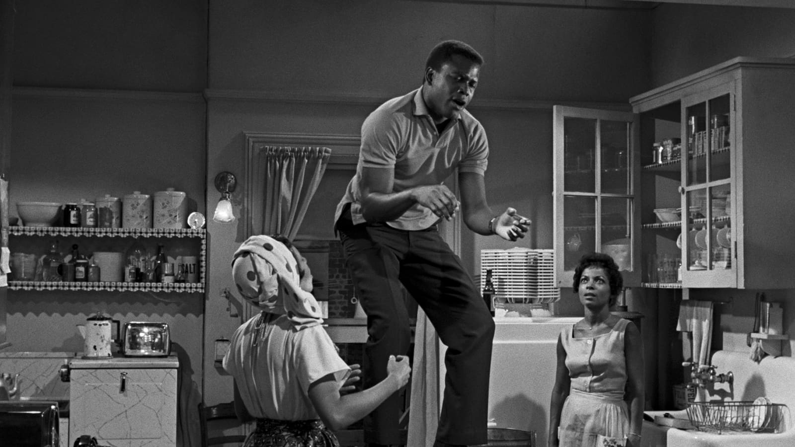 a raisin in the sun movie 1961