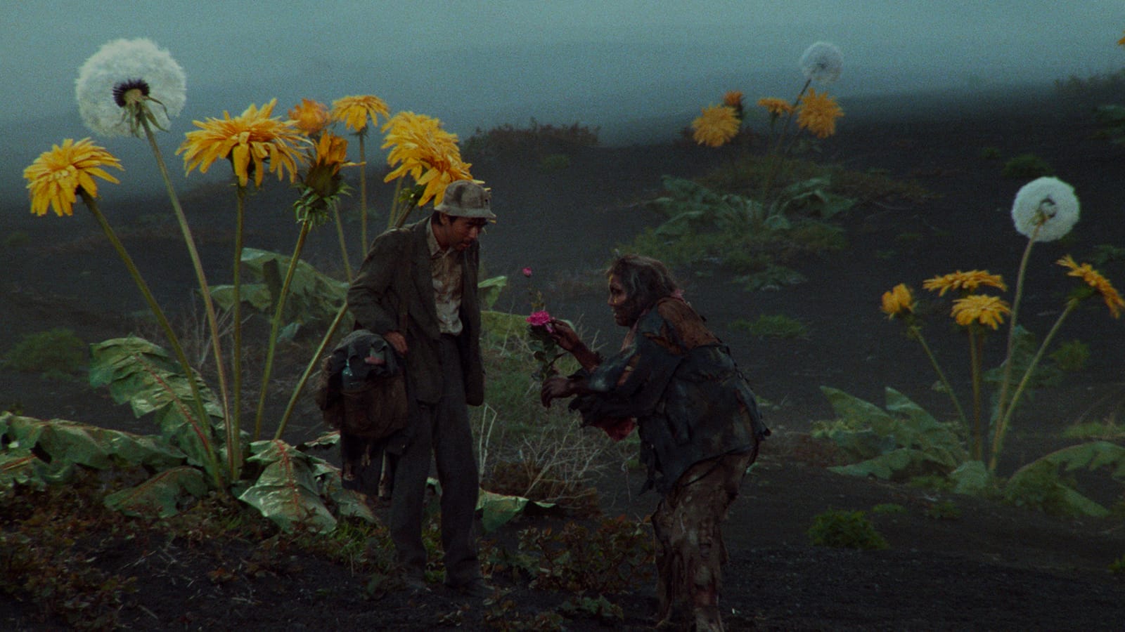 Akiradreams Best Photos On Dibujosparaimprimir