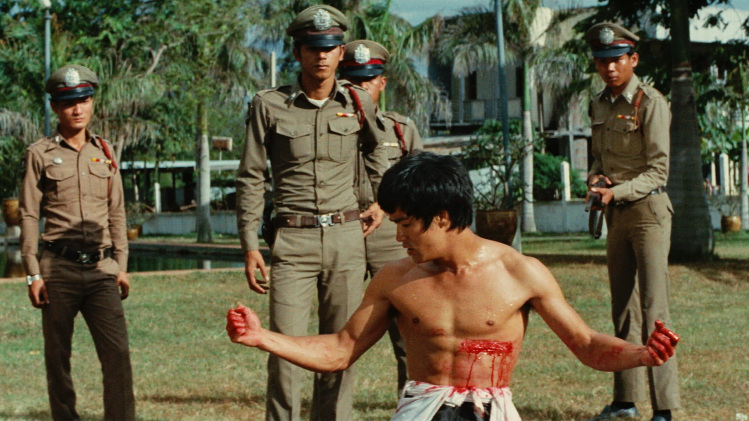 Water and Vessel: The Kung-Fu Movies of Bruce Lee, Current